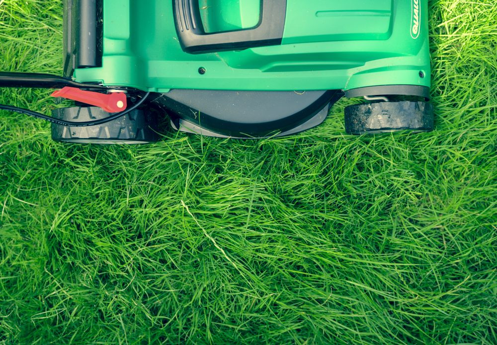 Lawn Mowing, Landscaping & Other Services