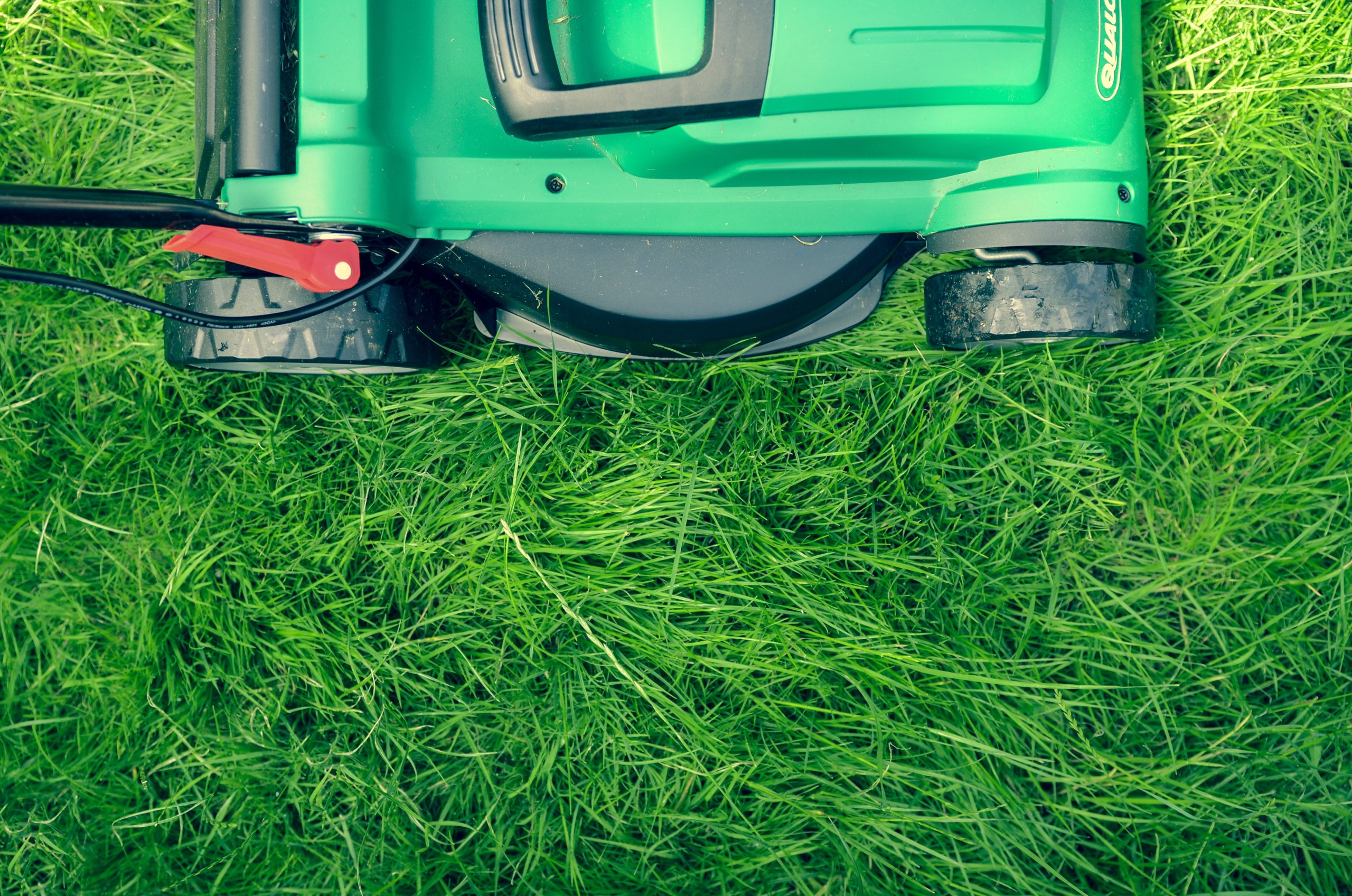 Lawn Mowing, Landscaping & Other Services